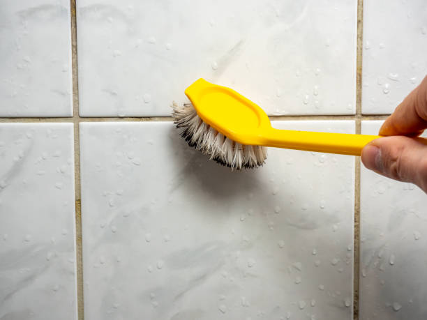 Best Office Mold Removal Services  in Pennside, PA