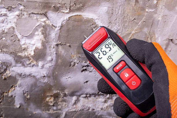 Best Mold Removal Company Near Me  in Pennside, PA
